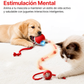 CazaBall – Pelota Inteligente para Gatos y Perros