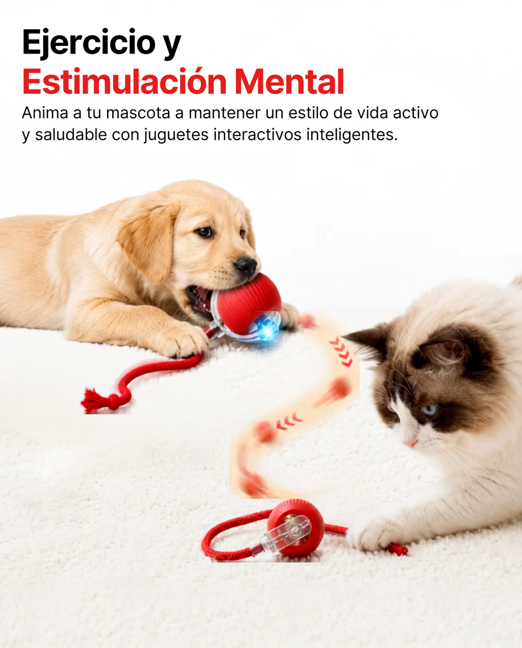 CazaBall – Pelota Inteligente para Gatos y Perros
