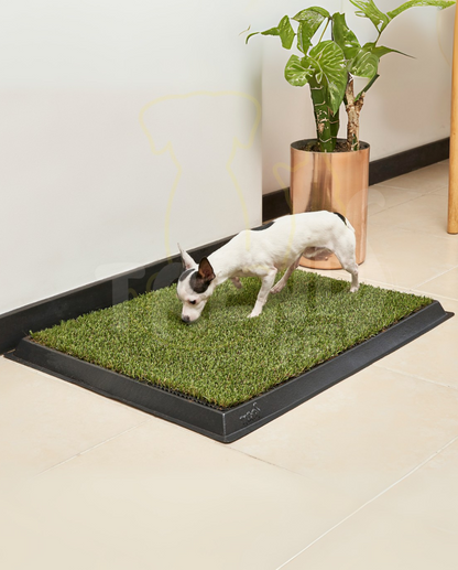 TAPETE SANITARIO TAPEE