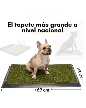 TAPETE SANITARIO TAPEE