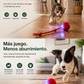 CazaBall – Pelota Inteligente para Gatos y Perros