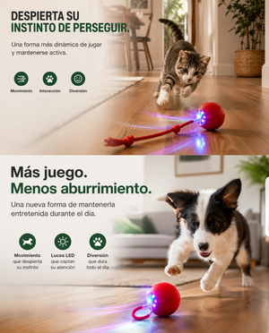 CazaBall – Pelota Inteligente para Gatos y Perros